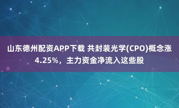 山东德州配资APP下载 共封装光学(CPO)概念涨4.25%，主力资金净流入这些股