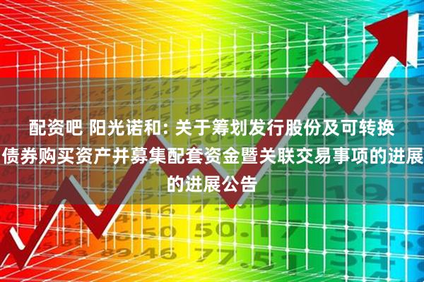 配资吧 阳光诺和: 关于筹划发行股份及可转换公司债券购买资产并募集配套资金暨关联交易事项的进展公告